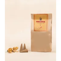 Благовония конусные "Вода", натуральные травяные, 20 шт., Иша Лайф; Handmade Natural Water Fragrance Cone (Pack of 20 pc), Isha Life